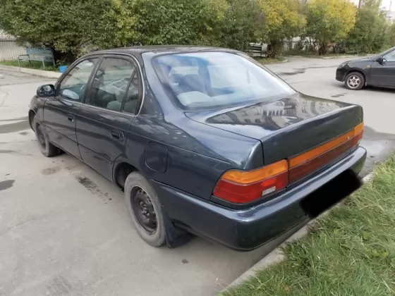 Corolla '1991 (75 л.с.) Тимашевск