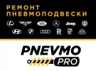 Ремонт пневмоподвески Pnevmo-Pro Краснодар