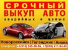 Выкуп аварийных авто в Новороссийске