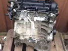 Двигатель W25G 1.6L Hyundai Solaris/Rio Краснодар