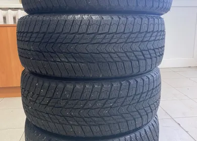 Nexen Winguard Ice Plus 205/55 R16 91T